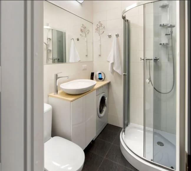 How To Separate Dry And Wet For A 4  Square Meters Small Apartment Bathroom?