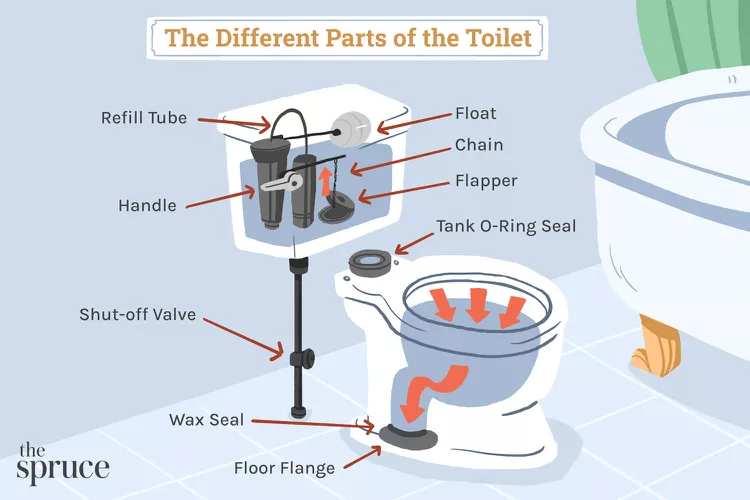 Learning the detail of toilet
